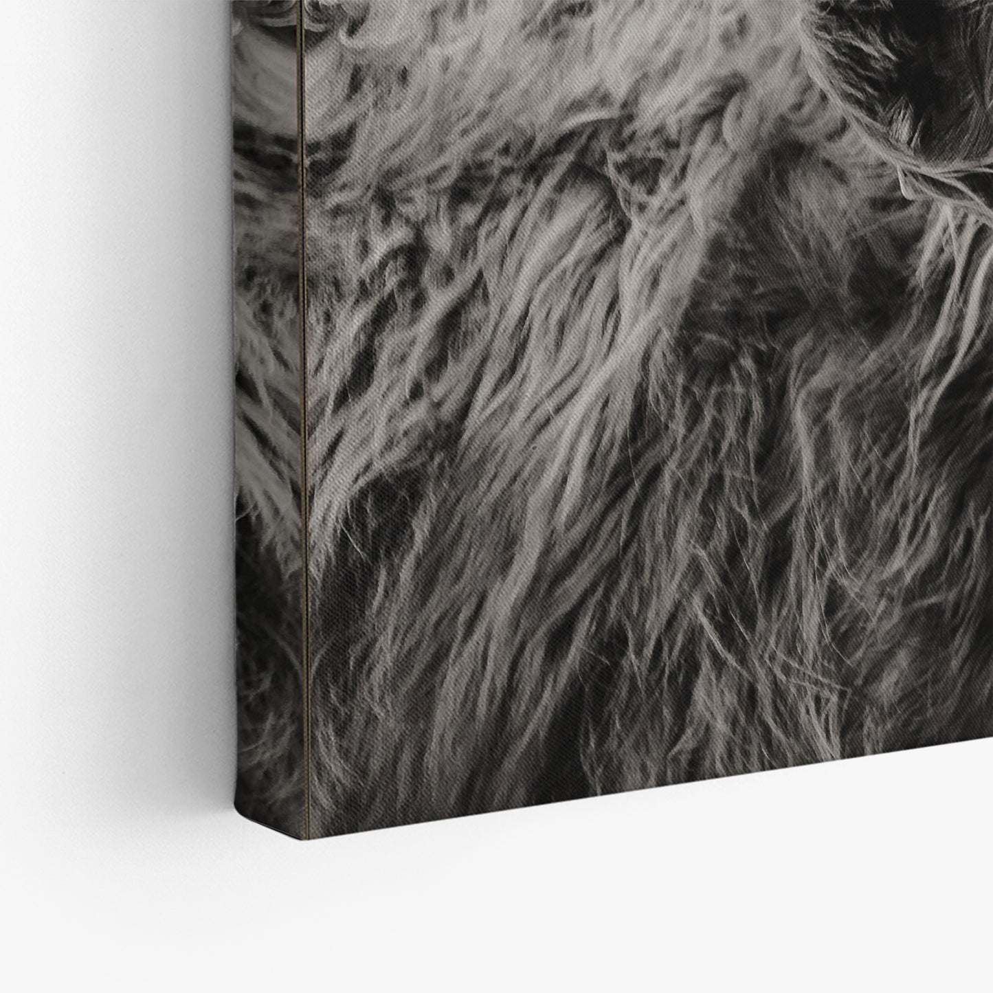 Scottish Highland Cattle Canvas Wall Art Cattle Canvas Cattle Wall Art - PPL-109